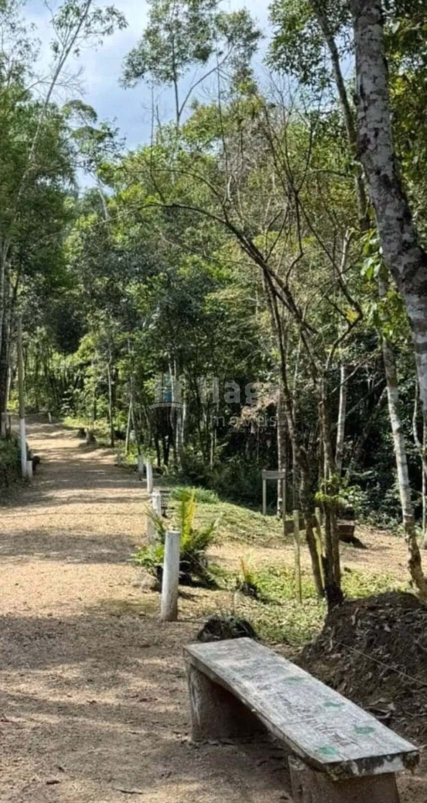 Fazenda de 15 ha em Alfredo Wagner, SC