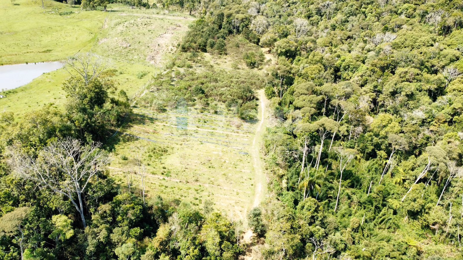 Fazenda de 15 ha em Alfredo Wagner, SC