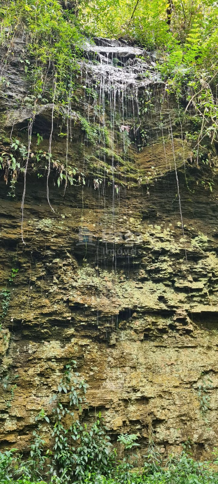 Fazenda de 15 ha em Alfredo Wagner, SC