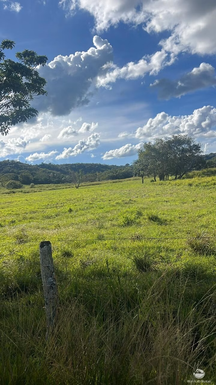Fazenda de 484 ha em Gurinhatã, MG