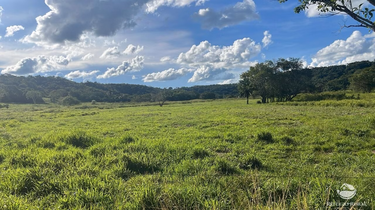 Fazenda de 484 ha em Gurinhatã, MG