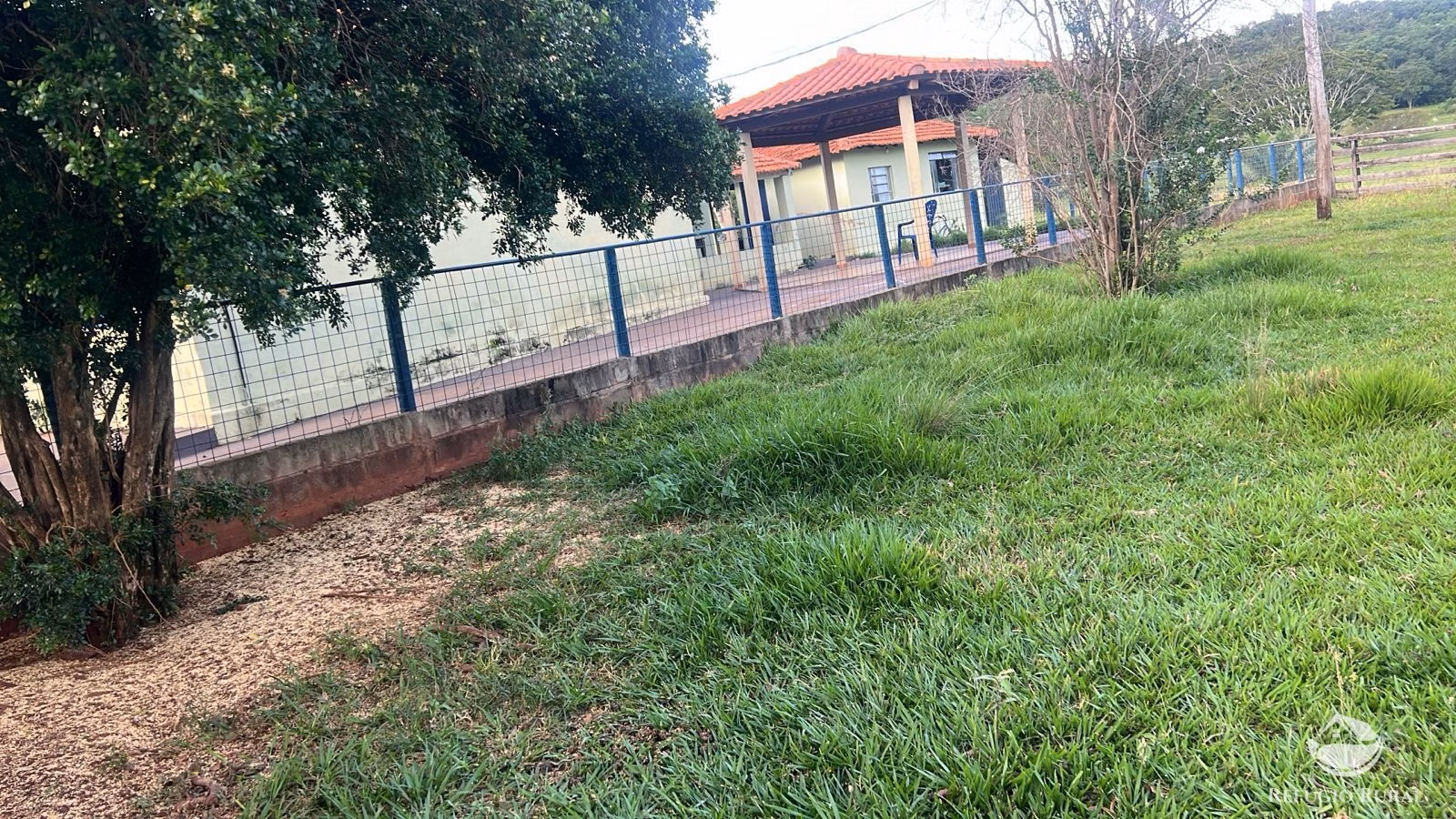 Fazenda de 484 ha em Gurinhatã, MG