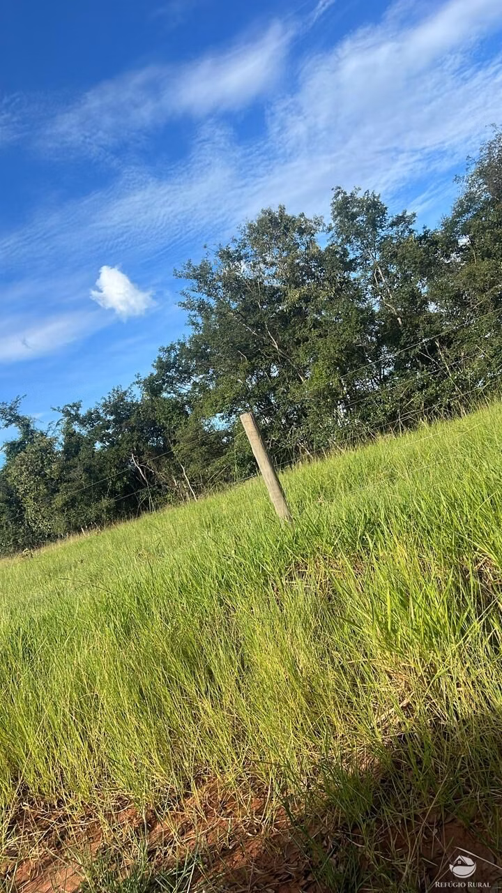 Fazenda de 484 ha em Gurinhatã, MG