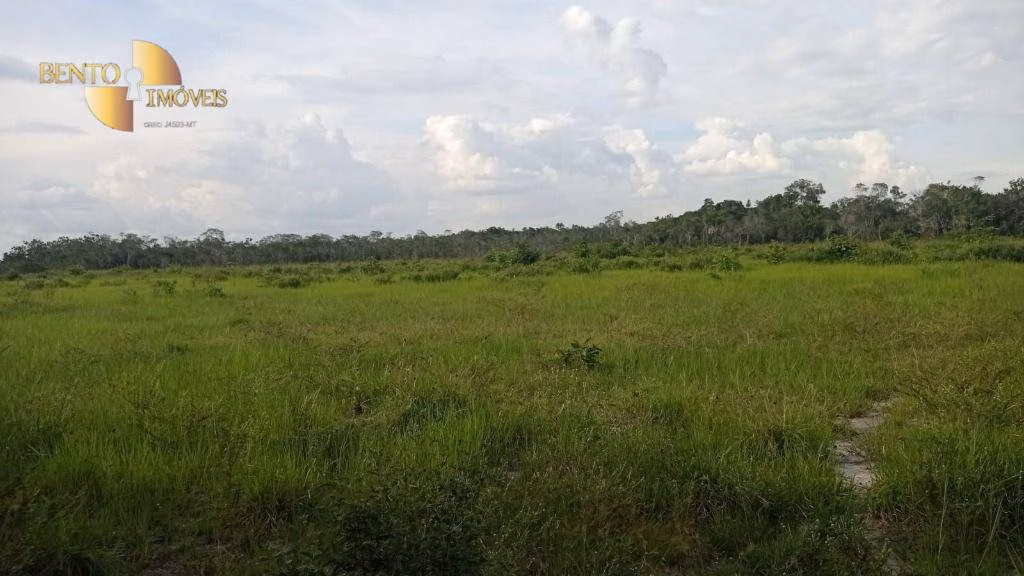 Fazenda de 50.000 ha em Boa Vista, RR
