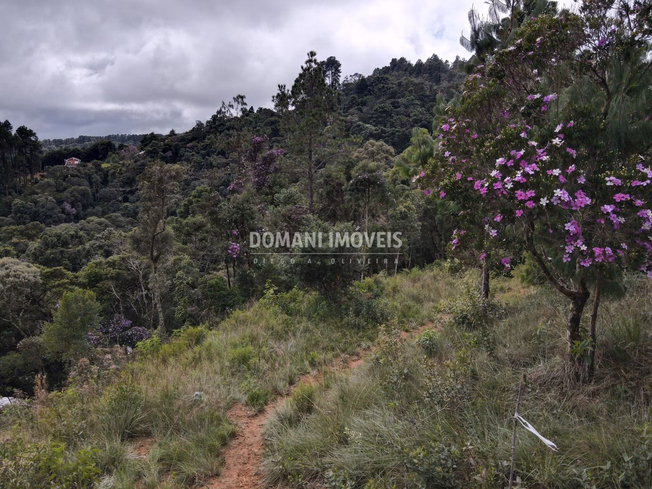 Terreno de 2.000 m² em Campos do Jordão, SP
