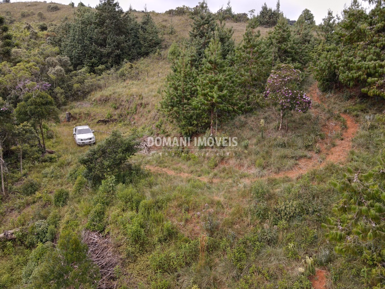 Terreno de 2.000 m² em Campos do Jordão, SP
