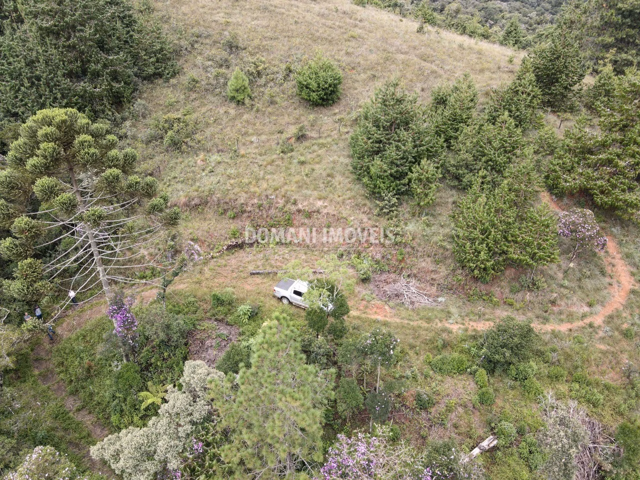 Terreno de 2.000 m² em Campos do Jordão, SP