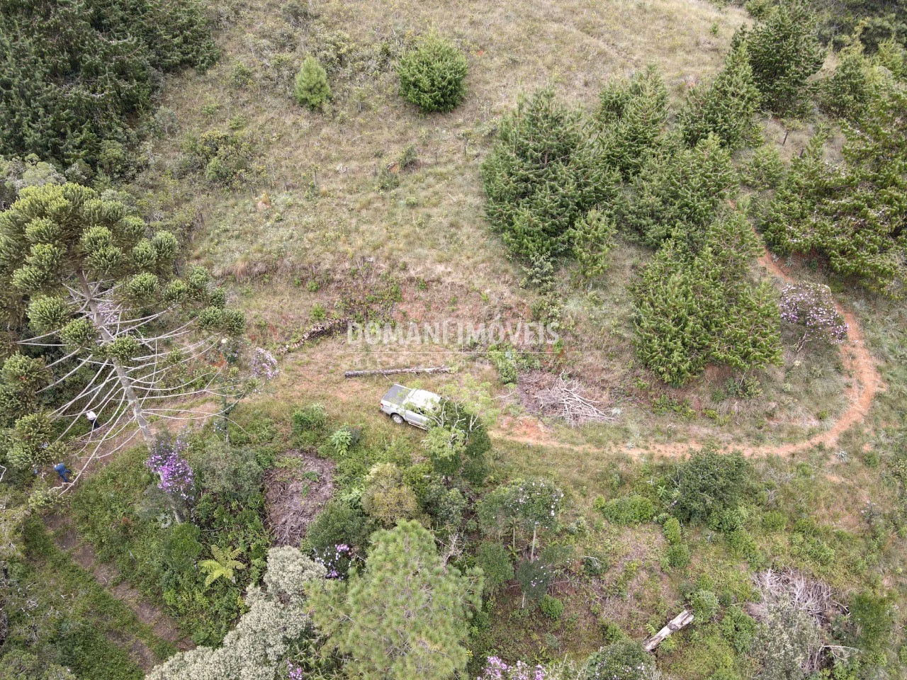 Terreno de 2.000 m² em Campos do Jordão, SP