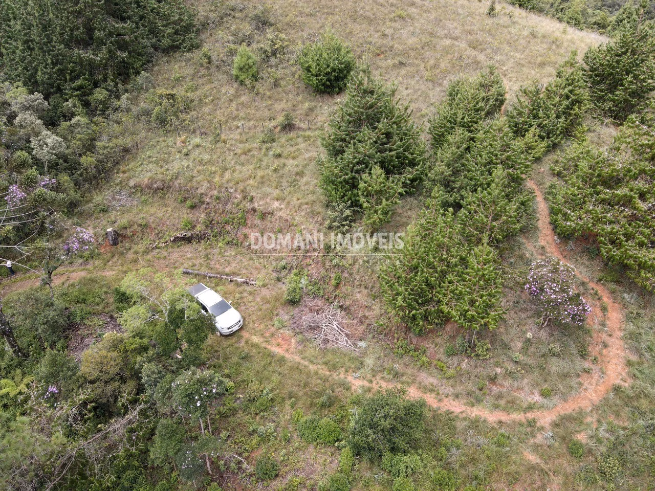 Terreno de 2.000 m² em Campos do Jordão, SP