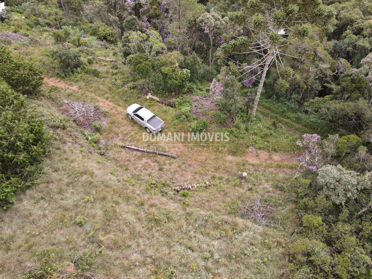Terreno de 2.000 m² em Campos do Jordão, SP