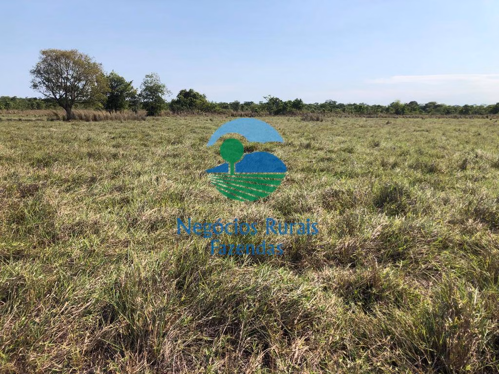 Fazenda de 1.113 ha em Almas, TO