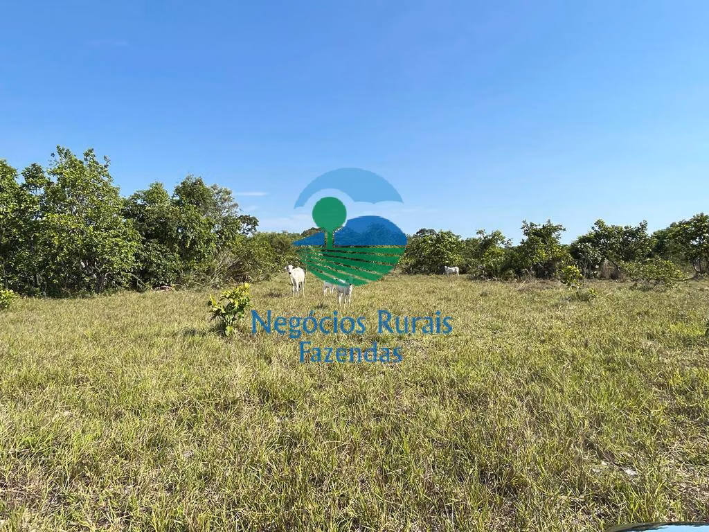 Fazenda de 1.113 ha em Almas, TO
