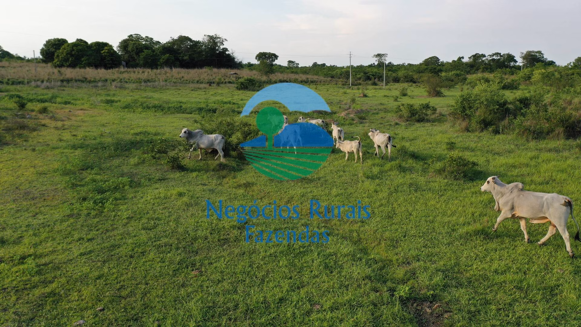 Fazenda de 1.113 ha em Almas, TO