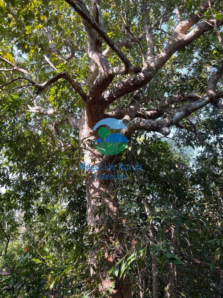 Fazenda de 1.113 ha em Almas, TO