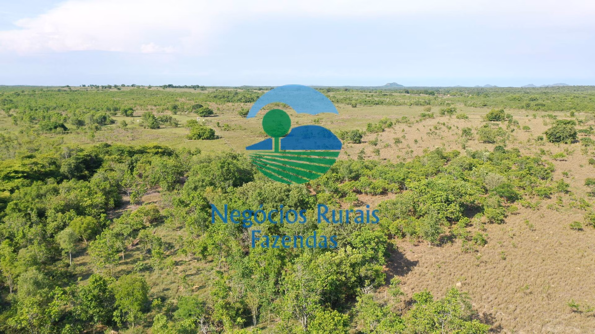 Fazenda de 1.113 ha em Almas, TO