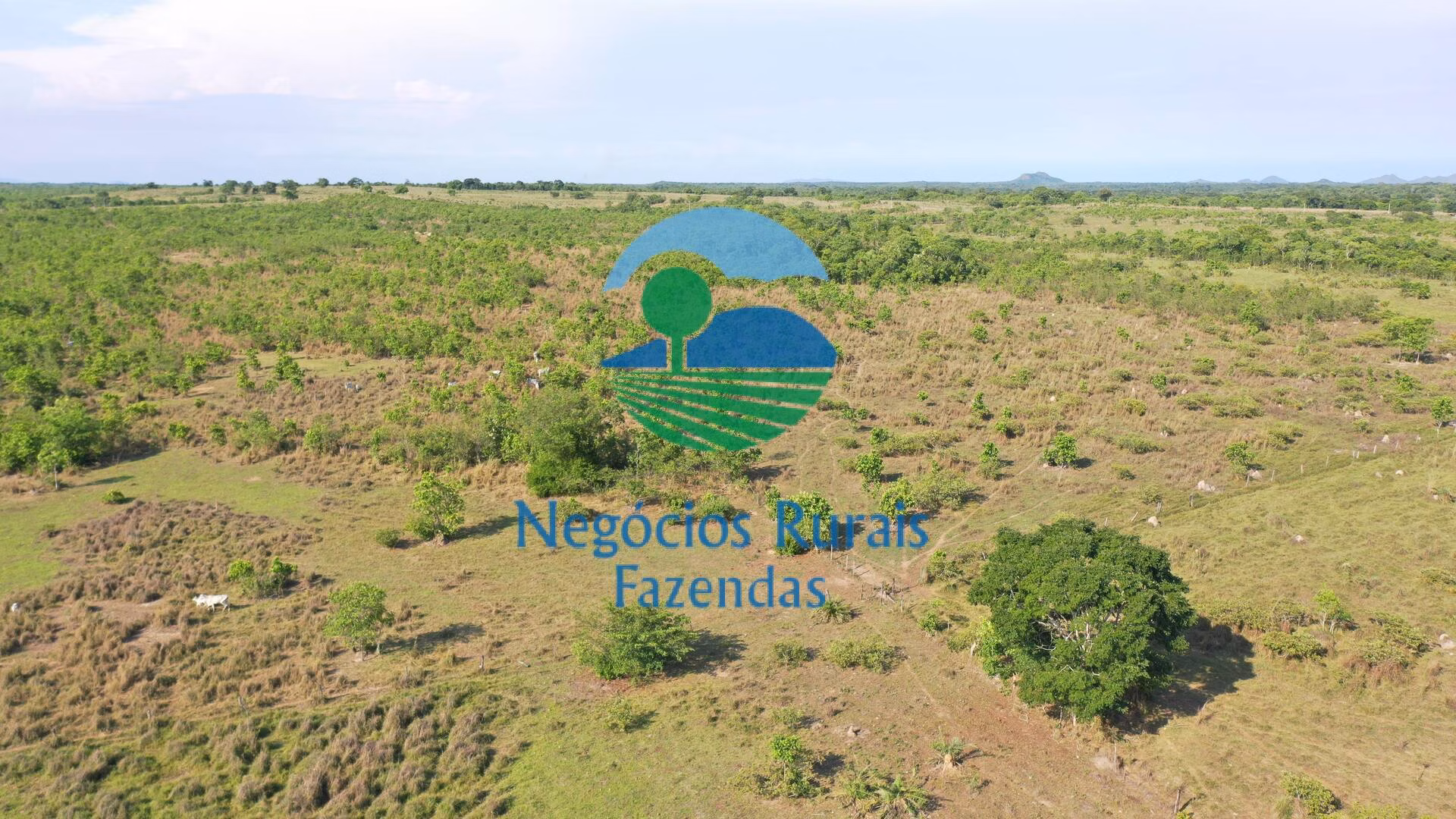 Fazenda de 1.113 ha em Almas, TO