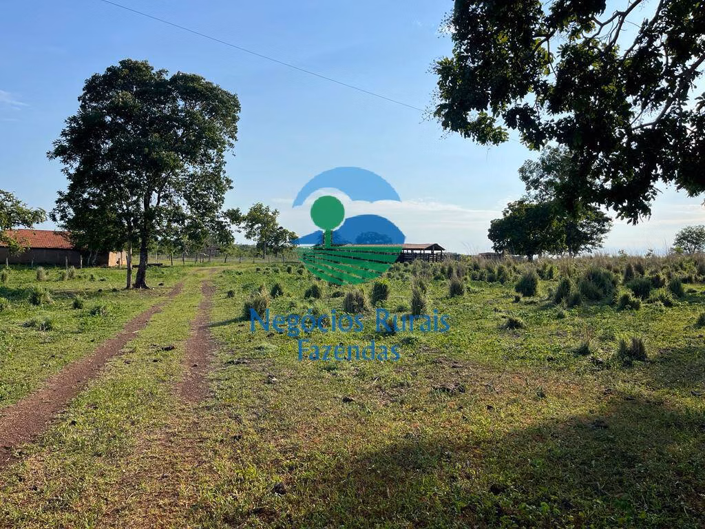 Fazenda de 1.113 ha em Almas, TO