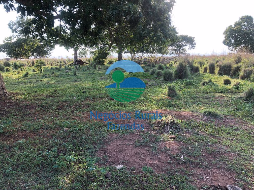 Fazenda de 1.113 ha em Almas, TO
