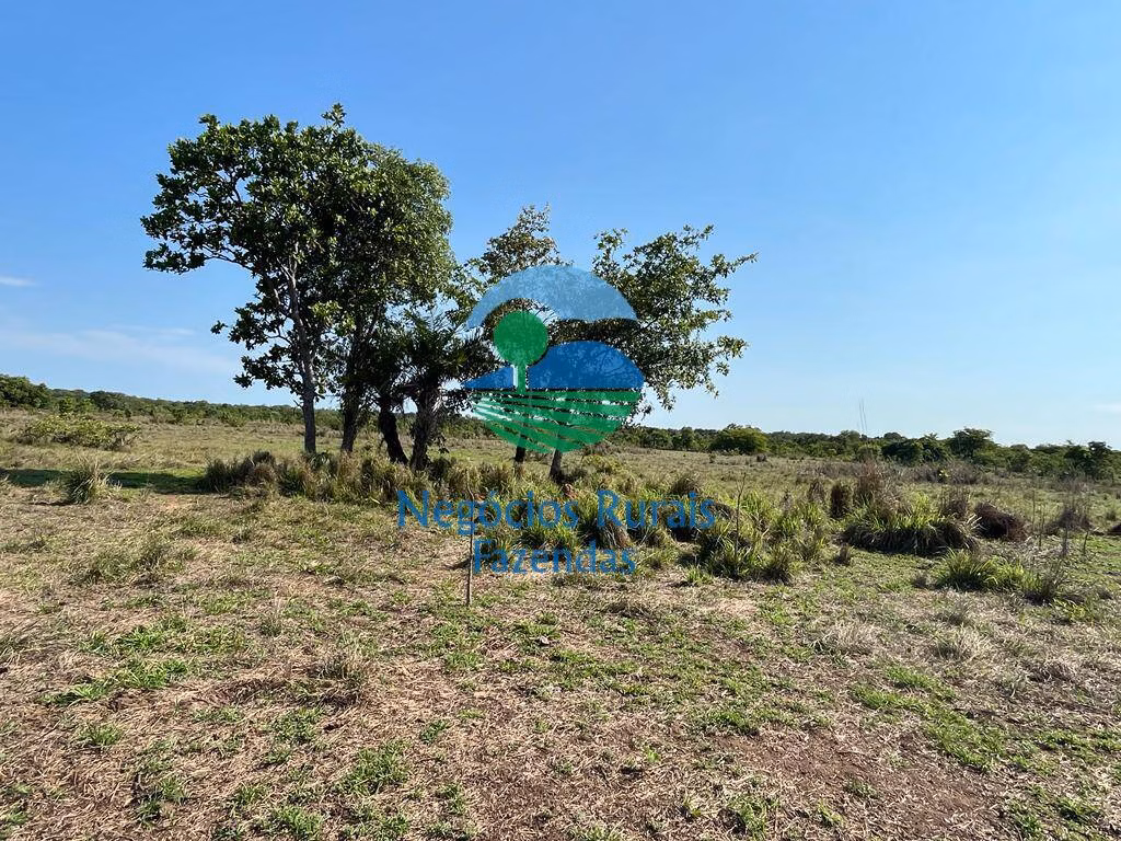 Fazenda de 1.113 ha em Almas, TO