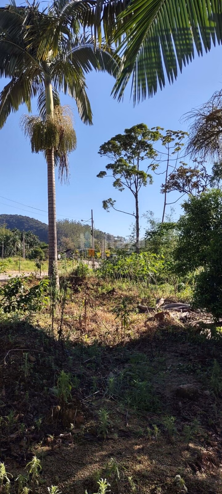 Terreno de 600 m² em Guabiruba, SC