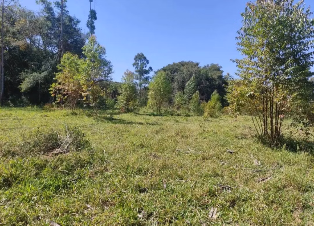 Farm of 282 acres in São João del Rei, MG, Brazil