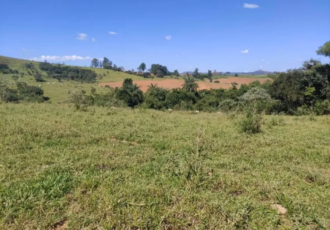 Farm of 282 acres in São João del Rei, MG, Brazil