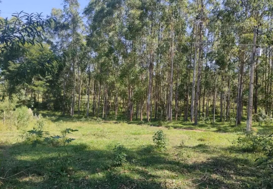 Farm of 282 acres in São João del Rei, MG, Brazil