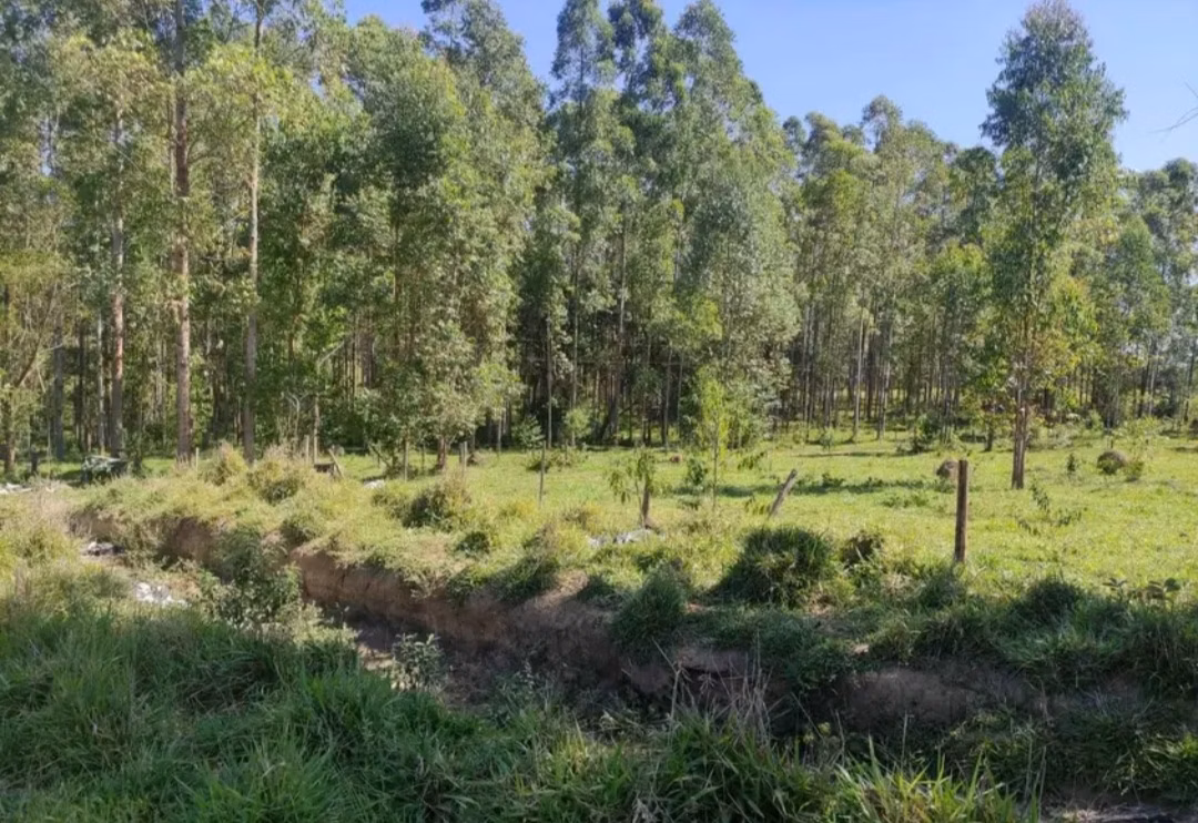 Farm of 282 acres in São João del Rei, MG, Brazil