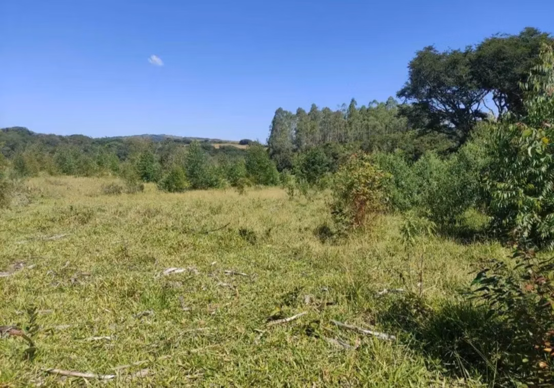 Farm of 282 acres in São João del Rei, MG, Brazil