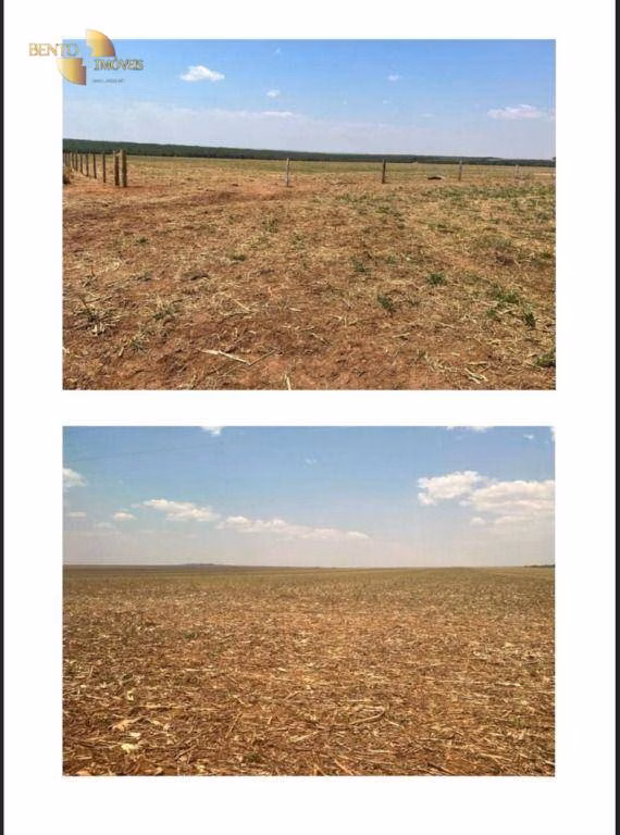 Fazenda de 9.500 ha em Campos de Júlio, MT