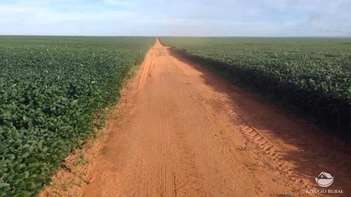 Fazenda de 35.000 ha em Santa Terezinha, MT