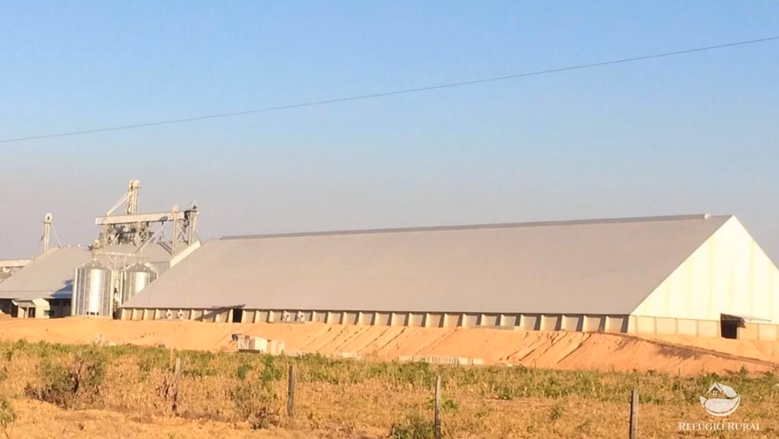 Fazenda de 35.000 ha em Santa Terezinha, MT