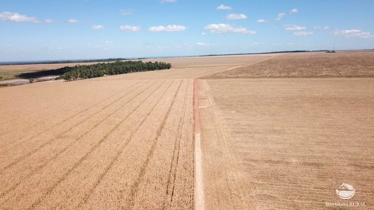 Fazenda de 35.000 ha em Santa Terezinha, MT