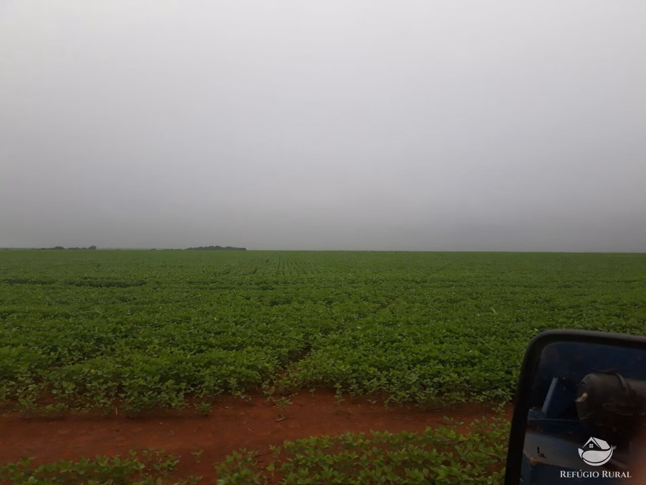 Fazenda de 35.000 ha em Santa Terezinha, MT