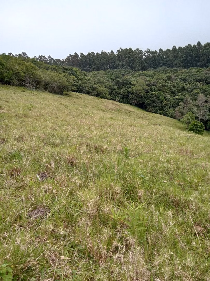 Chácara de 2 ha em Osório, RS