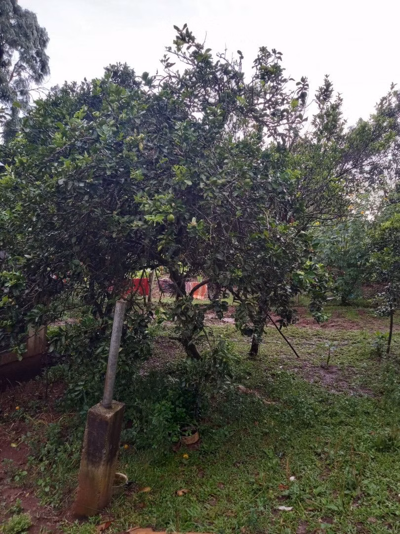 Chácara de 2 ha em Osório, RS