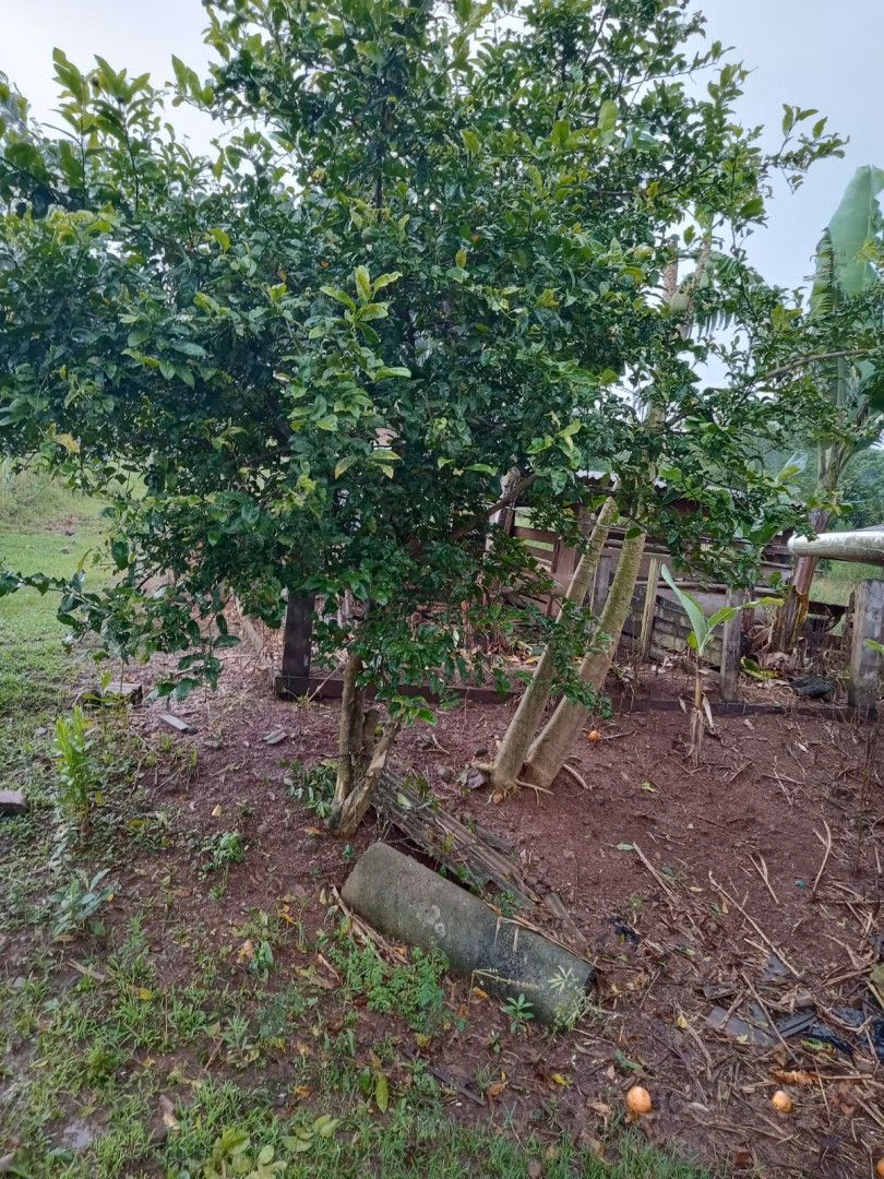 Chácara de 2 ha em Osório, RS