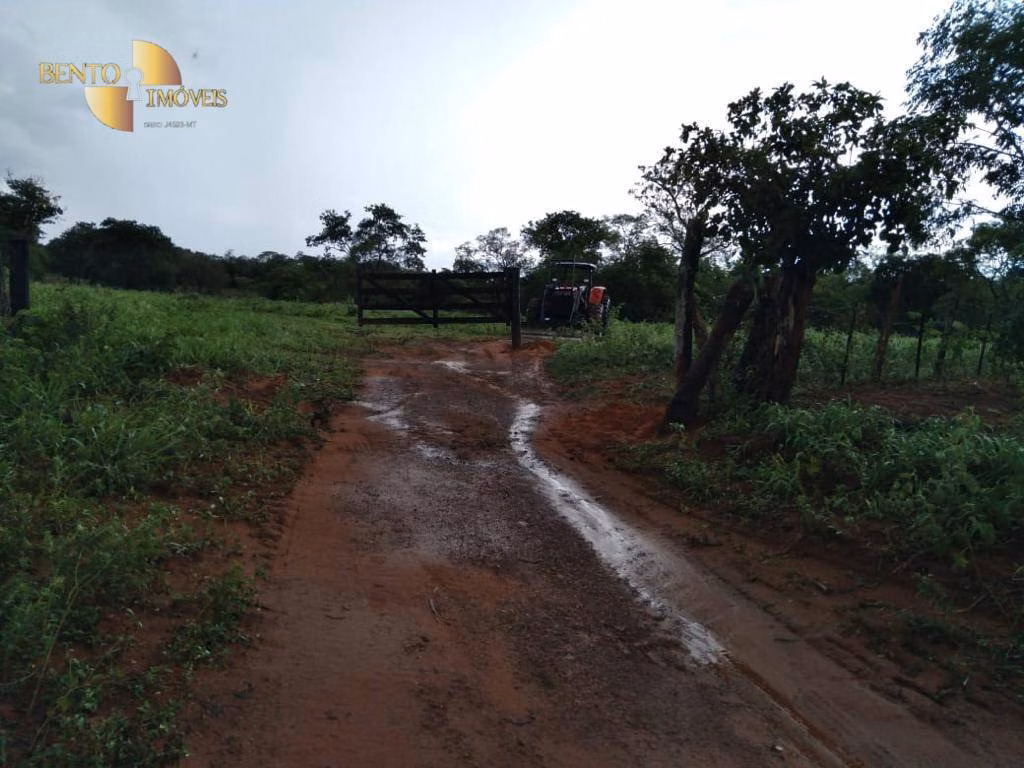 Fazenda de 680 ha em Rondonópolis, MT