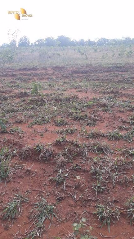 Fazenda de 680 ha em Rondonópolis, MT