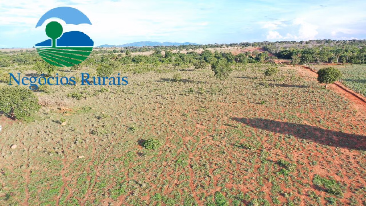 Farm of 2,019 acres in Novo Planalto, GO, Brazil