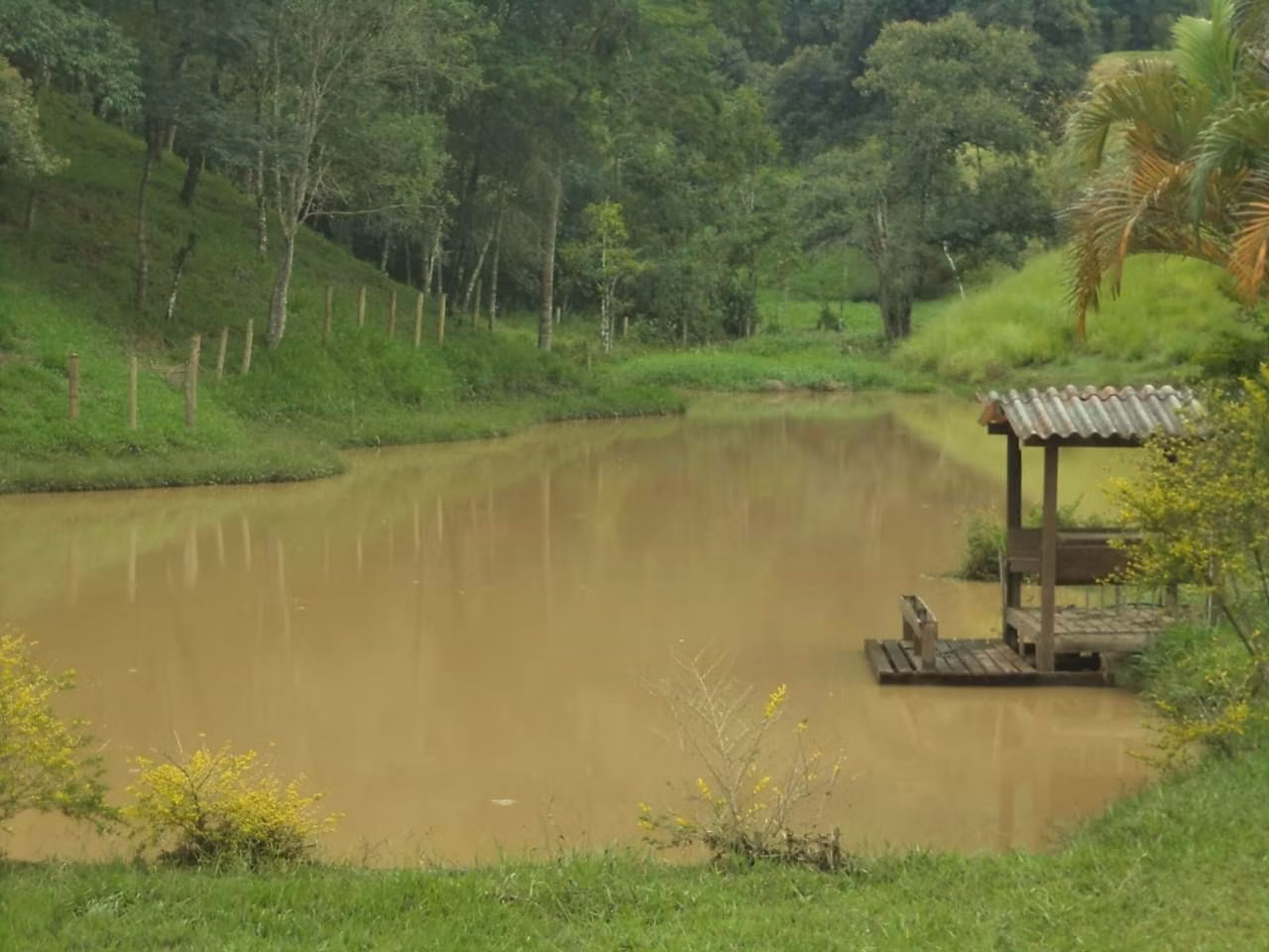 Sítio de 6 ha em Guaratinguetá, SP
