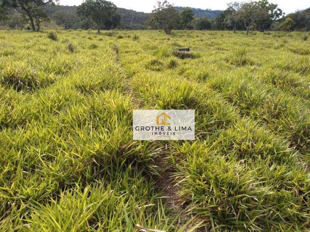 Fazenda de 266 ha em Claraval, MG