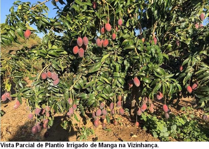 Fazenda de 17.520 ha em Muquém do São Francisco, BA