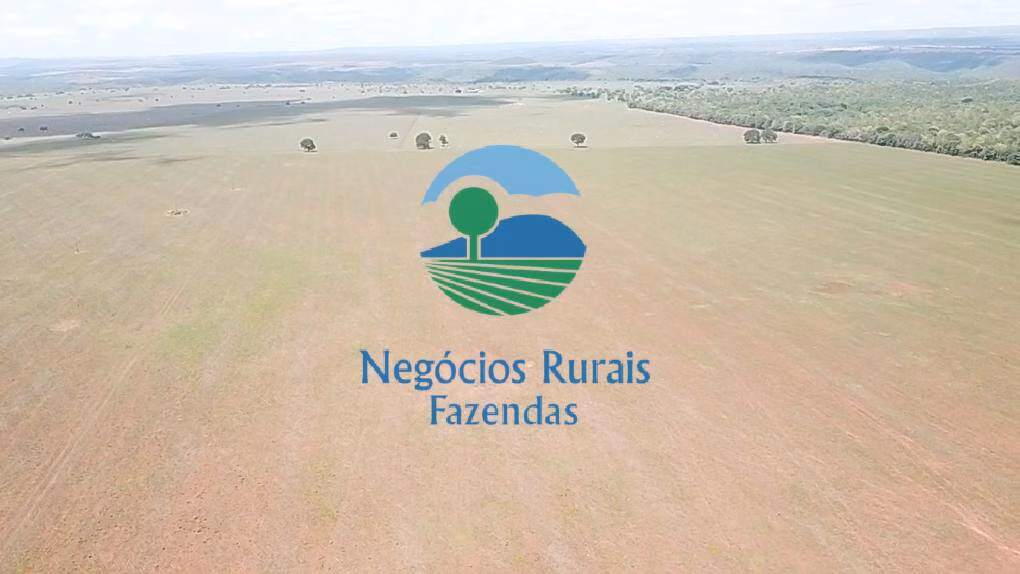 Fazenda de 1.393 ha em Santa Tereza de Goiás, GO