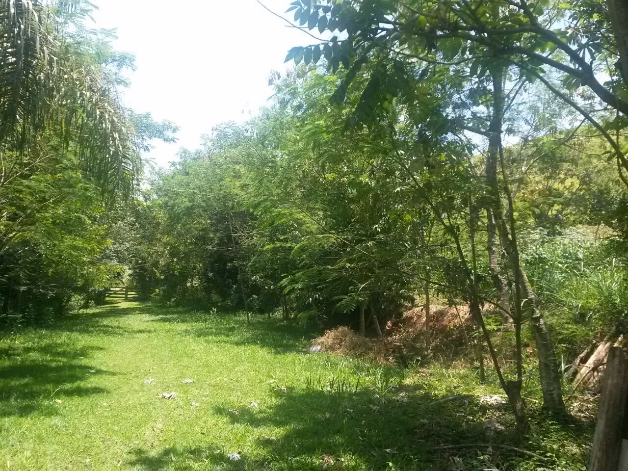 Small farm of 9 acres in Barra do Piraí, RJ, Brazil