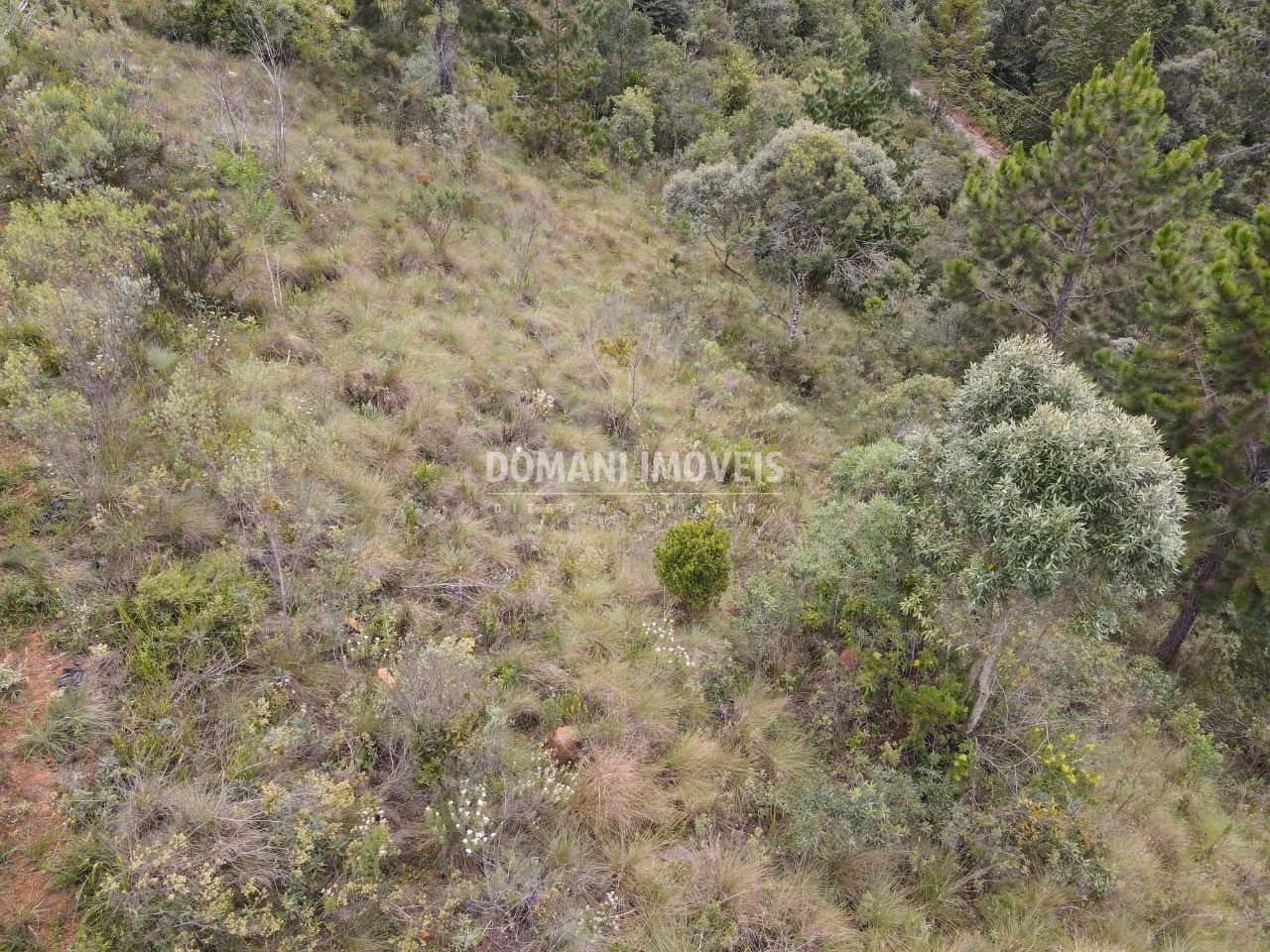 Terreno de 1.060 m² em Campos do Jordão, SP