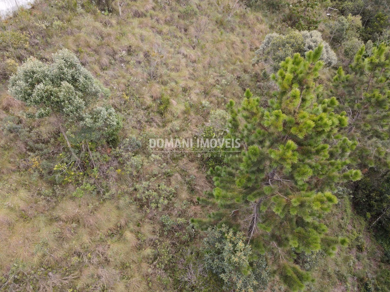 Terreno de 1.060 m² em Campos do Jordão, SP
