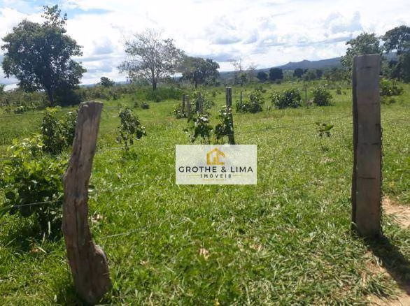 Fazenda de 799 ha em Caiapônia, GO