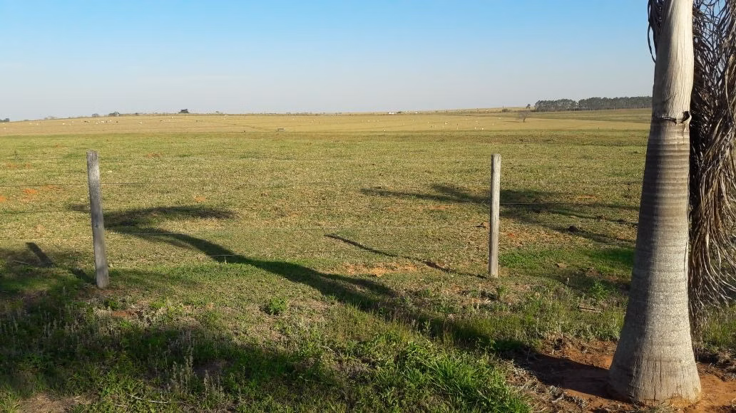Fazenda de 1.089 ha em Presidente Prudente, SP