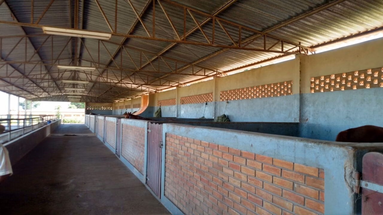 Fazenda de 1.089 ha em Presidente Prudente, SP